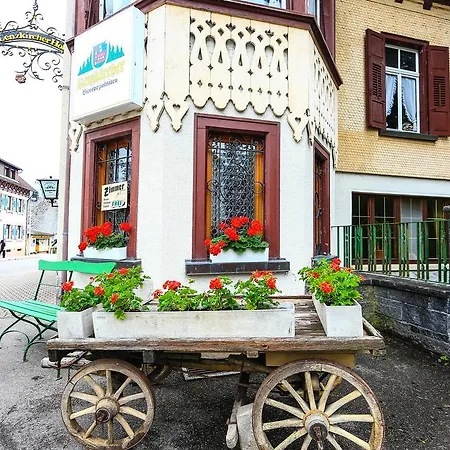 Lenzkircher Hof Konukevi Lenzkirch